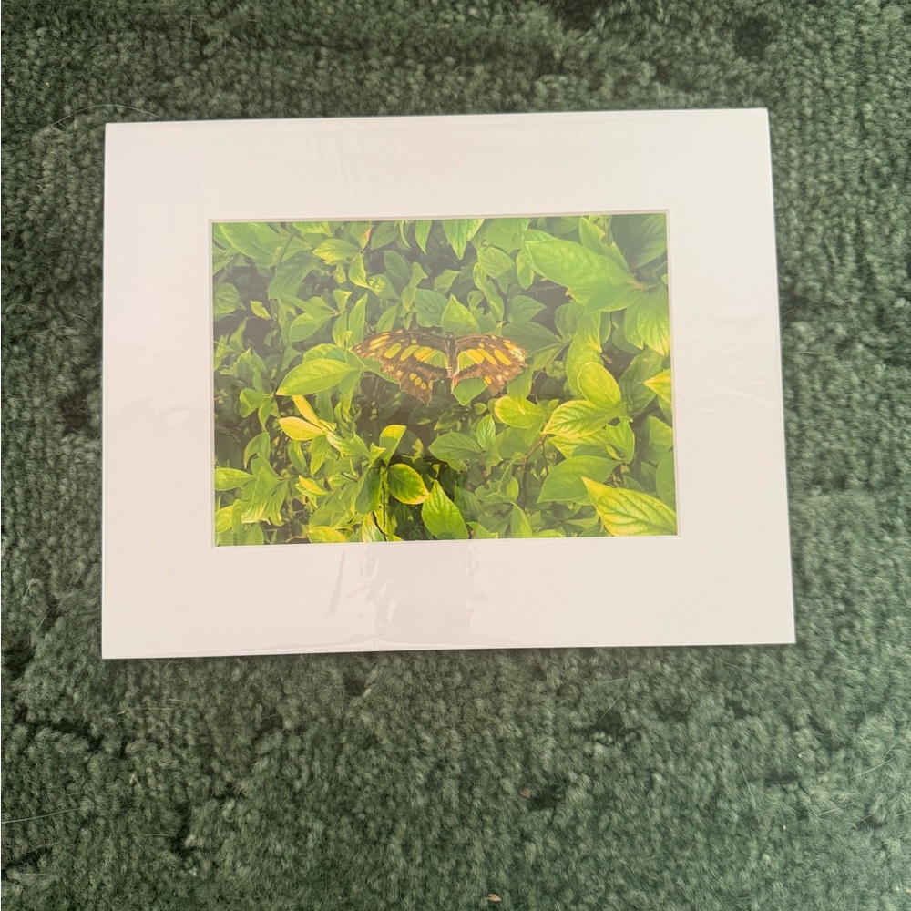 Butterfly in Greenery Art Print
